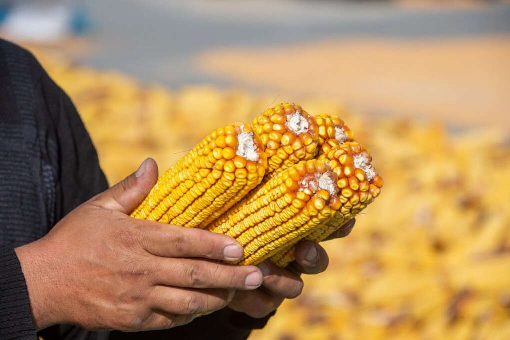 4fbfc166-b628-4f13-ad9f-6509b60de425