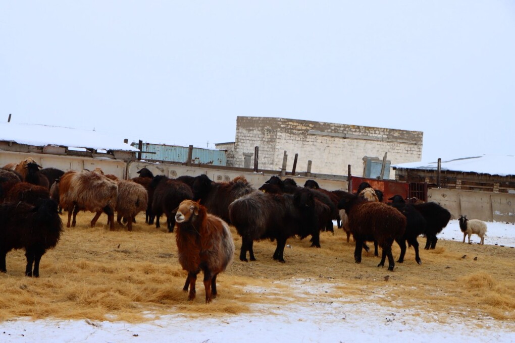 544460ca-fcee-4c76-91d0-a302d3e8c66c