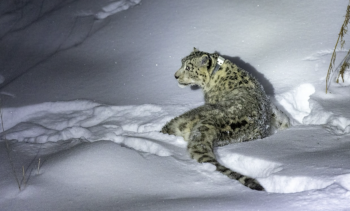 698576c28324a894739322