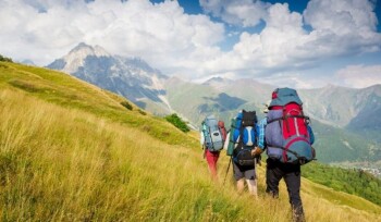 69a02d3ddfd8b996915764