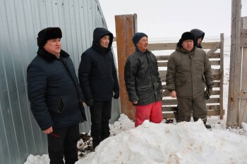 FB_IMG_1770270122080