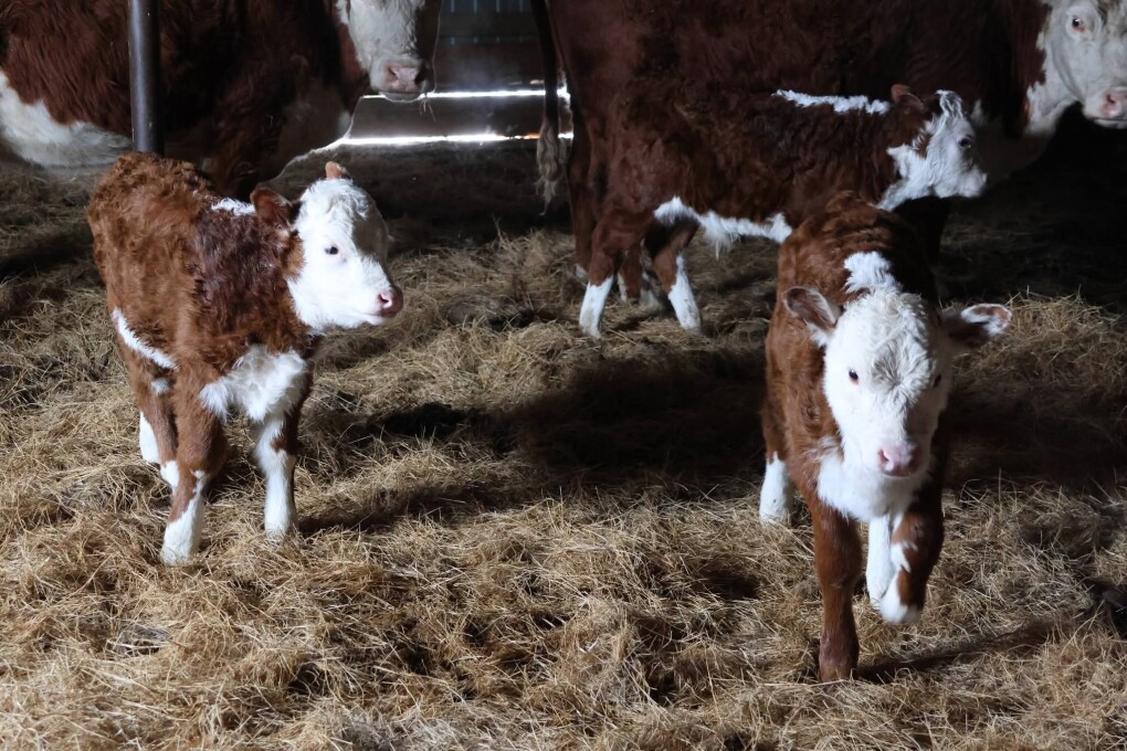 FB_IMG_1770270124559