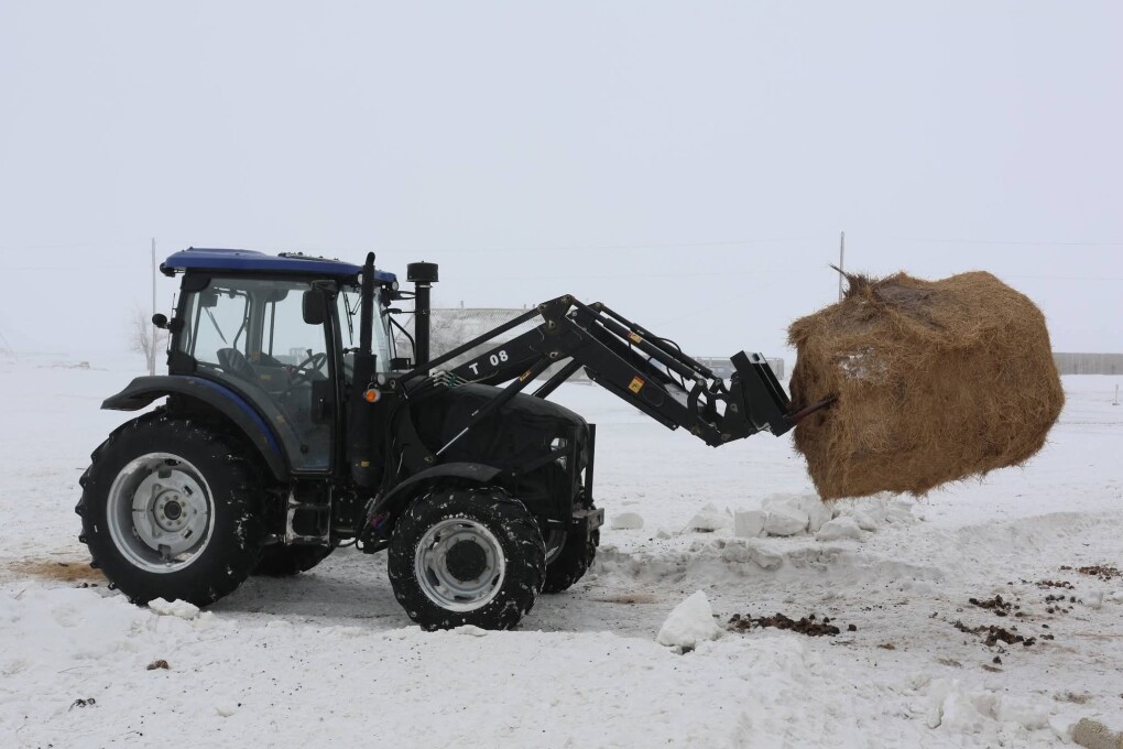 FB_IMG_1770270126579