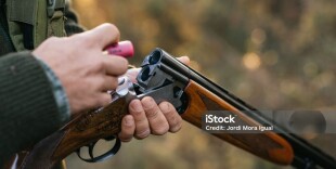 На каких животных и птиц можно охотиться в Казахстане