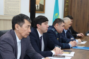 Конституция референдум (2)