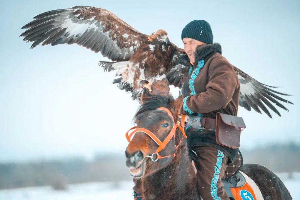 Құсбегілік (3)