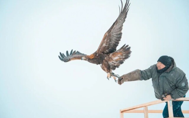 XIX чемпионат РК по құсбегілік серди взрослых