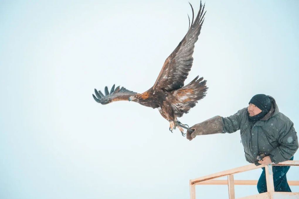 Құсбегілік (5)