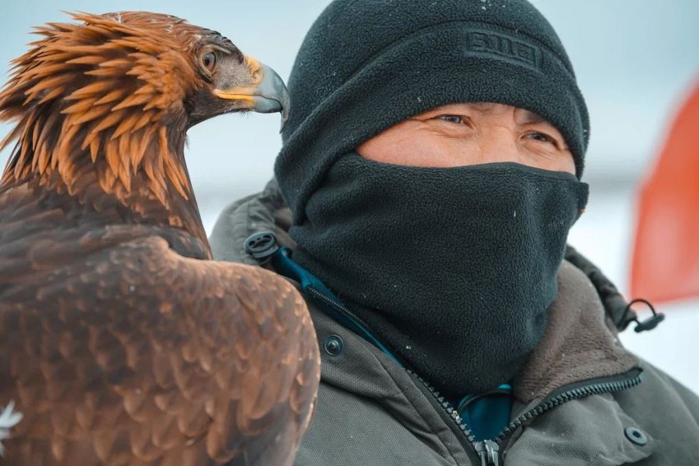 Құсбегілік (7)