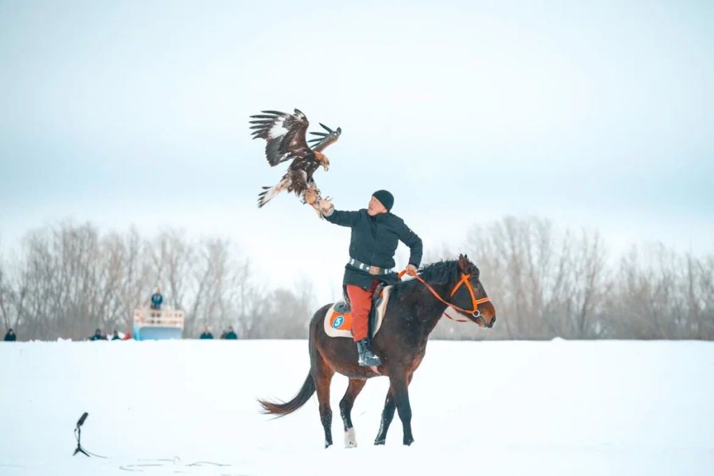 Құсбегілік (8)