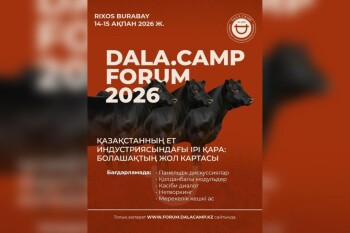 WhatsApp Image 2026-02-06 at 13.02.48