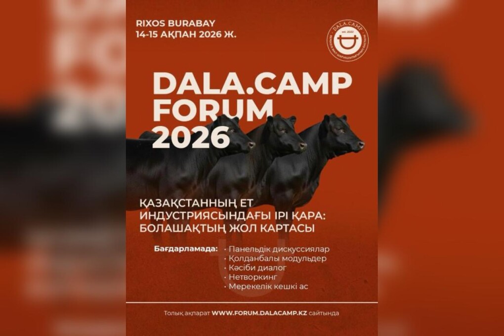 WhatsApp Image 2026-02-06 at 13.02.48