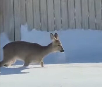 WhatsApp Image 2026-02-06 at 14.34.08