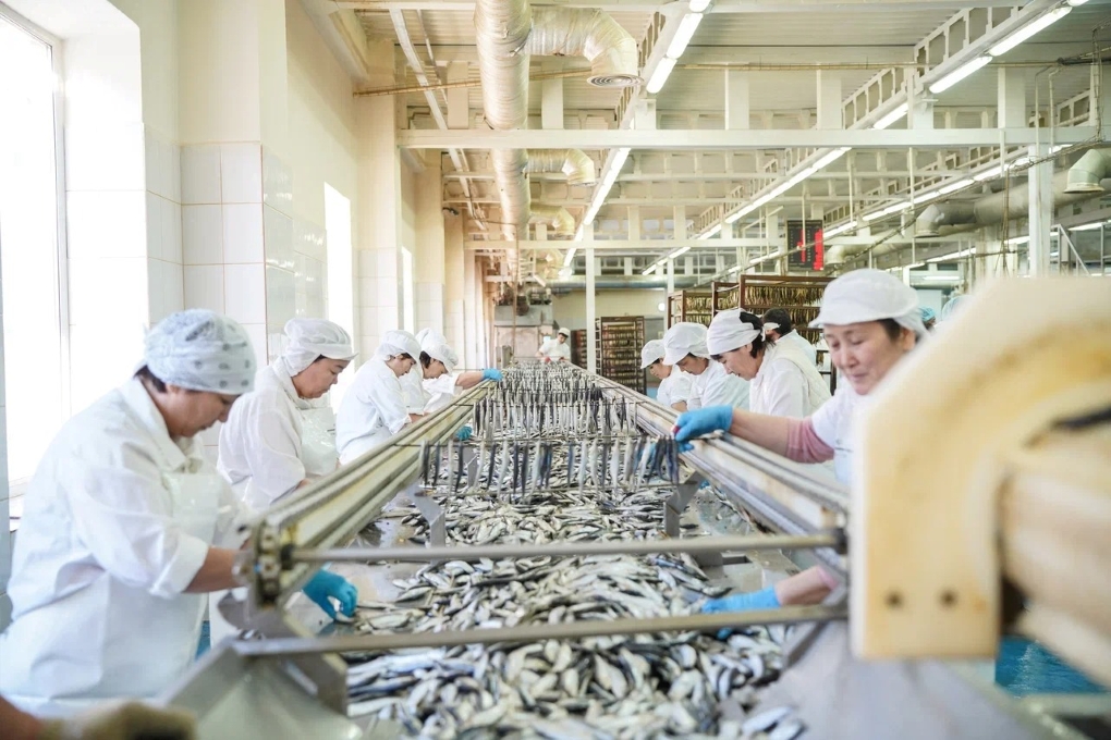 WhatsApp Image 2026-02-1