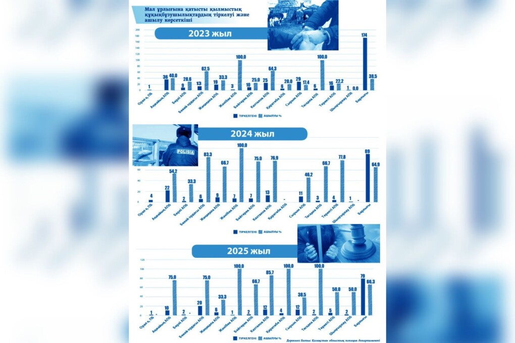 WhatsApp Image 2026-02-10 at 18.05.42 (1)