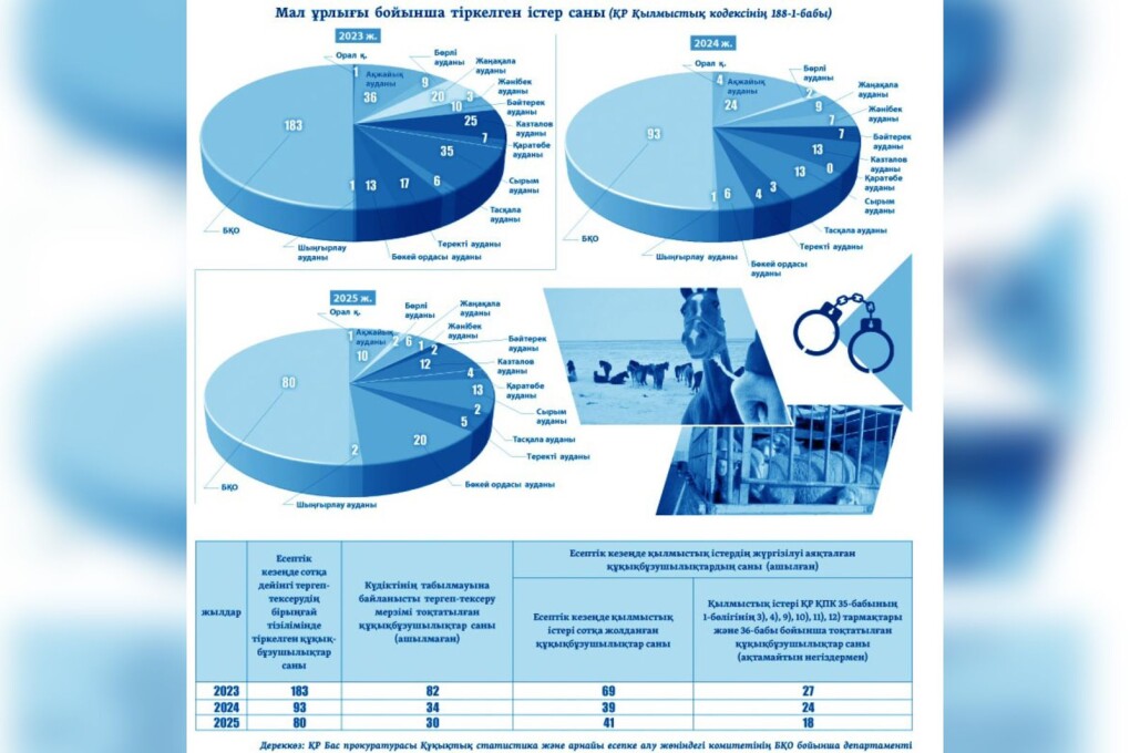 WhatsApp Image 2026-02-10 at 18.05.42