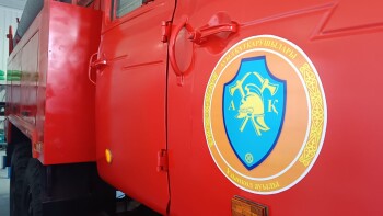 WhatsApp Image 2026-02-12 at 11.02.59 (3)