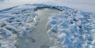 Рыба задыхается в водоеме в ЗКО