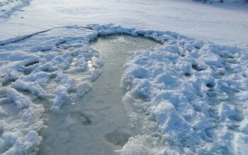 WhatsApp Image 2026-02-13 at 23.03.48