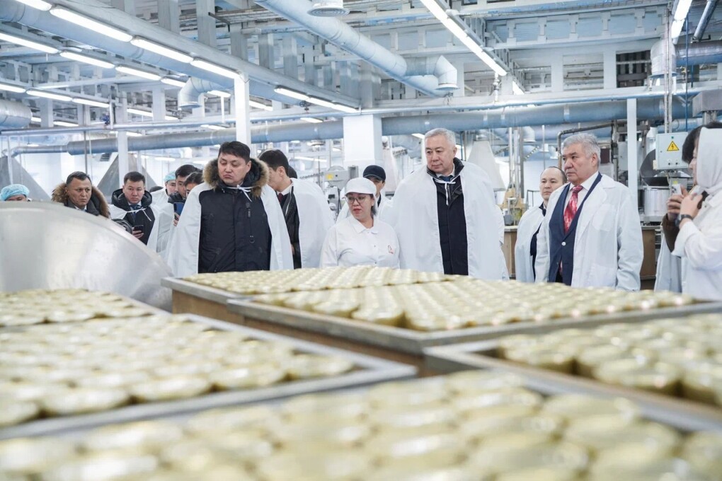 WhatsApp Image 2026-02-19 at 16.01.45 (12)