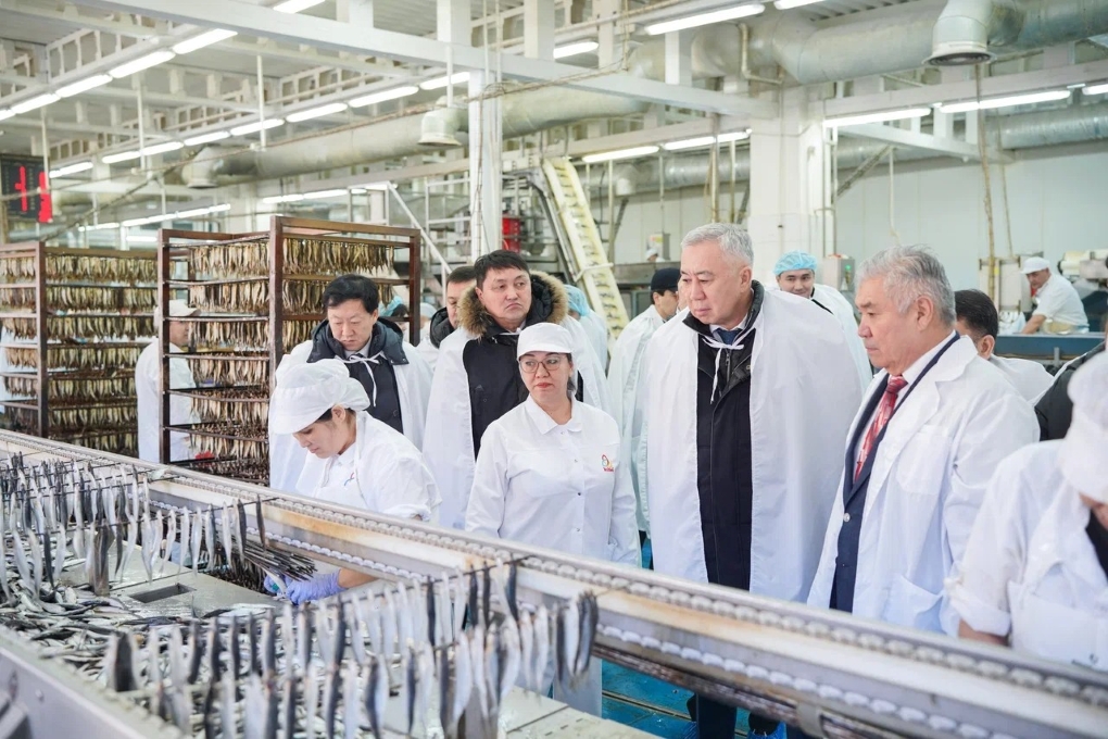 WhatsApp Image 2026-02-19 at 17.52.07 (1)