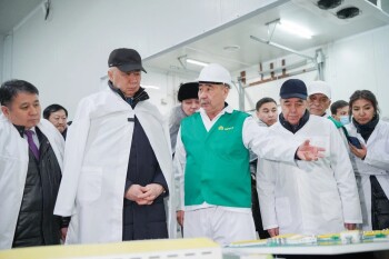 WhatsApp Image 2026-02-19 at 18.21.00