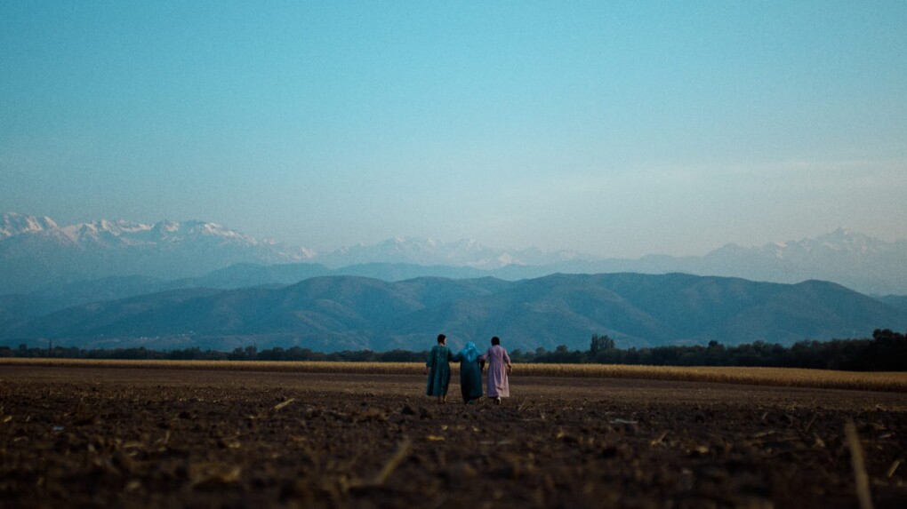 WhatsApp Image 2026-02-25 at 18.16.23