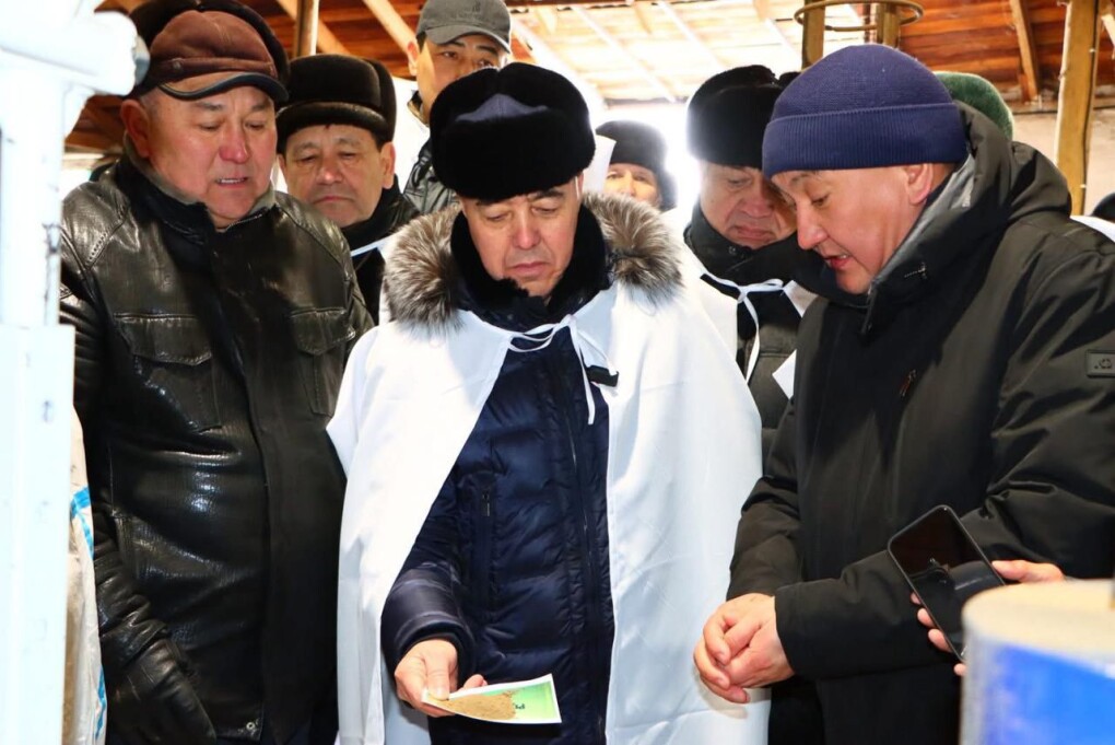 WhatsApp Image 2026-02-26 at 11.00.26 (2)