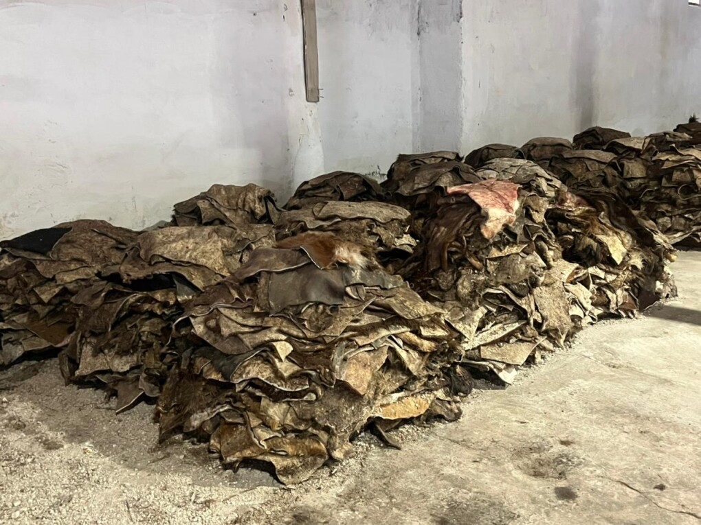 WhatsApp Image 2026-02-26 at 11.00.26