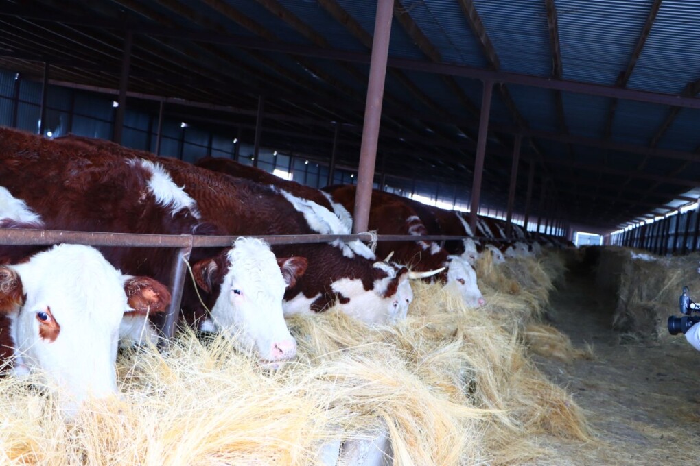 a508dddc-ec14-418e-8d94-e7b894e752e5