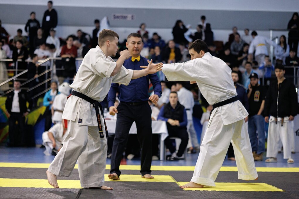 b05a7b8a-8bb8-4e33-87d2-5be50ffa62d8