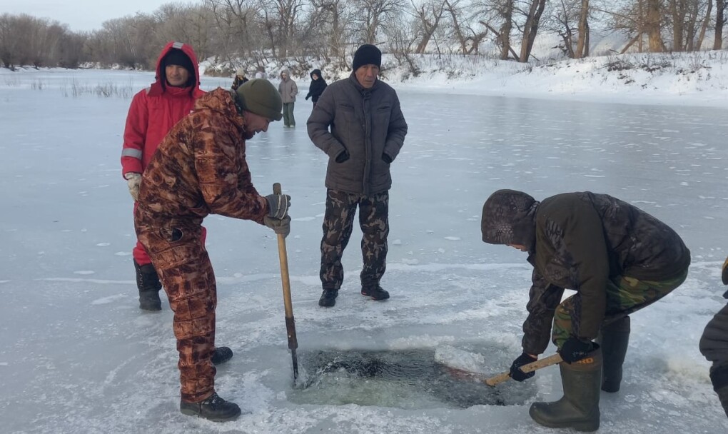 cdd02d98-0ecd-44b4-b3b2-5f43efc4184e (1)