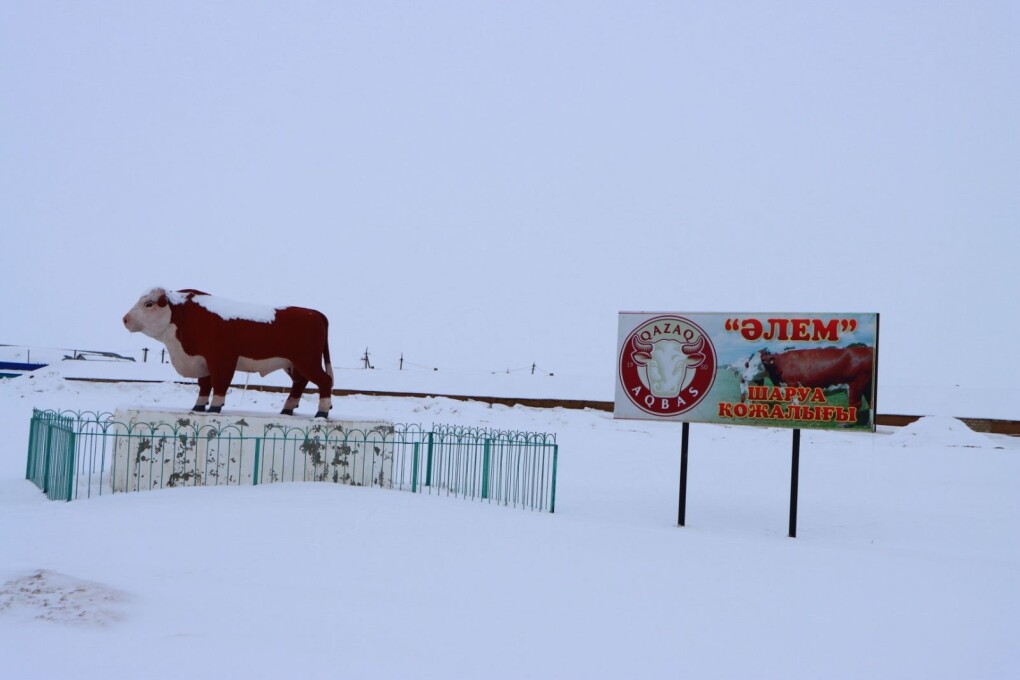 cffec0c6-c96e-4995-867a-dd38470e3c5c