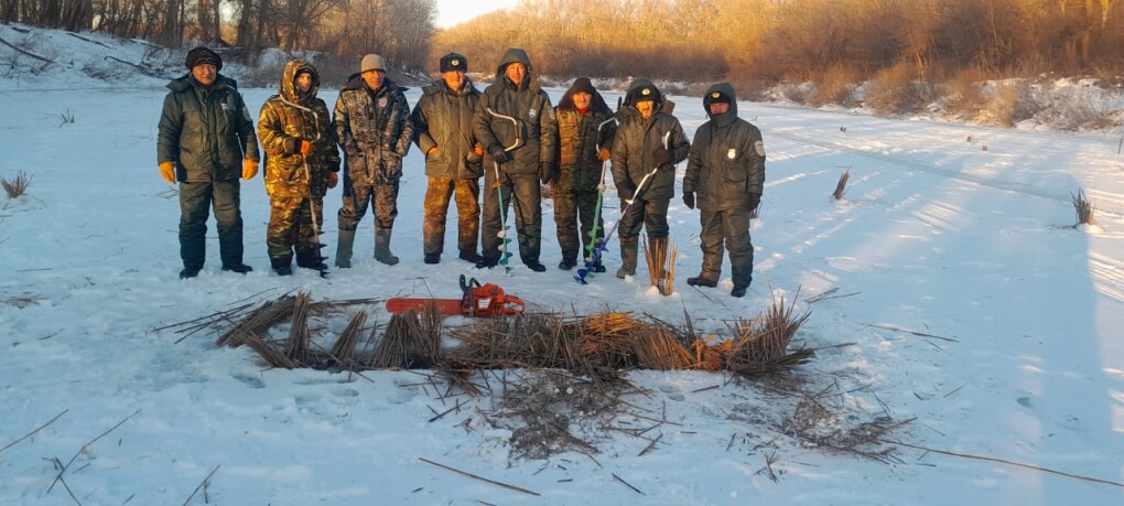 d9fe02c8-8a97-46df-b77c-83c554d6d89c