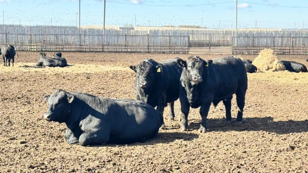 _gluster_2025_10_7_bd8cb111ab00bb940651b2f5001deec6_1280x720