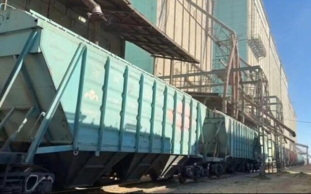 Экспортировано 5,8 млн тонн зерна нового урожая