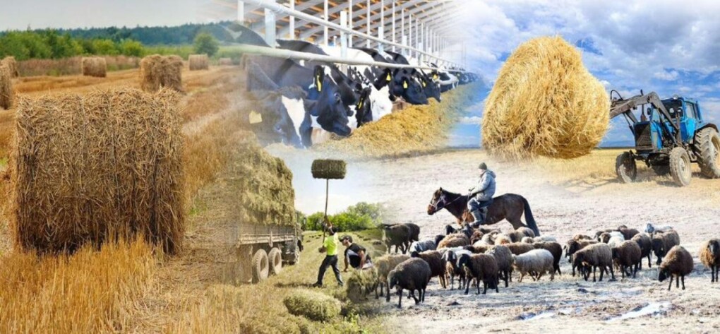 _gluster_2025_5_27_7ea298f31760ecaf6dccba24eba260f8_1280x720