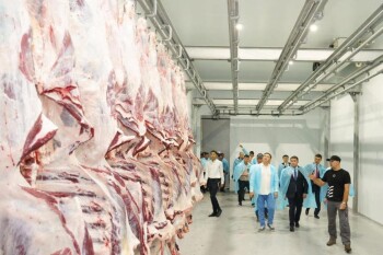 _gluster_2025_7_18_6947949becf5645936f3c285f83fba91_1280x720