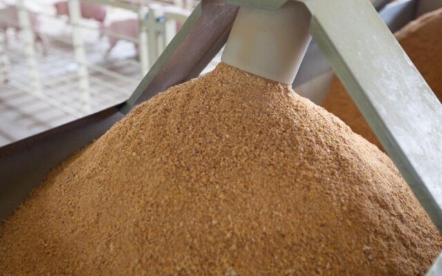 Контейнерный поезд с кормовой мукой отправлен в Китай