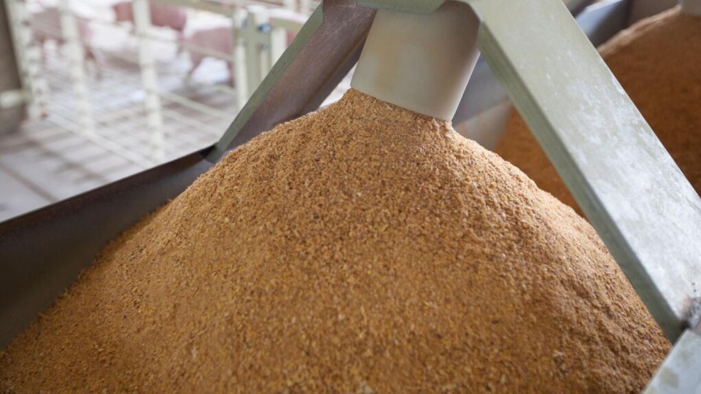 _gluster_2026_2_12_1ef0170bccf9a9a107703aa206844807_1280x720