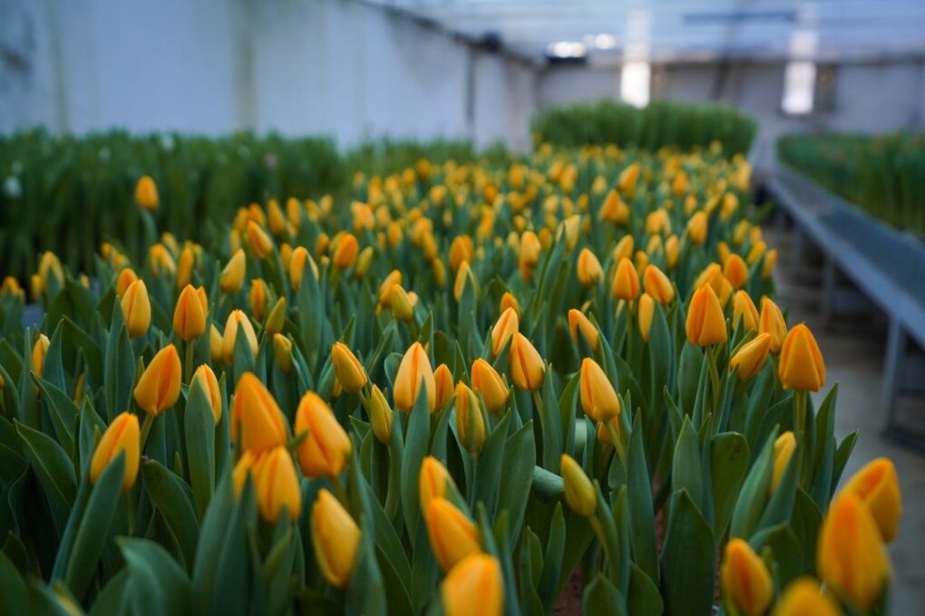 _gluster_2026_2_24_aaf79383ab46ed8082d27f06841c5f2e_1280x720