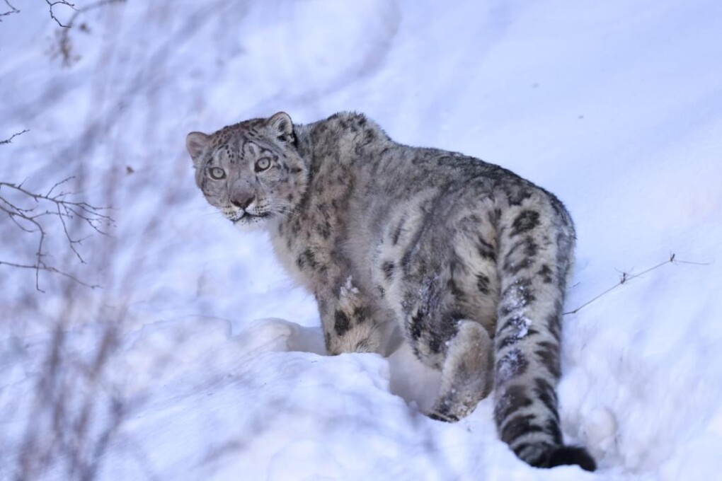 _gluster_2026_2_5_3a6dcd14bc3ceb58f22ebaf0cbeba257_1280x720