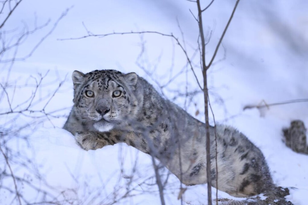 _gluster_2026_2_5_c18bef5543ca8929503ada589cc65977_1280x720