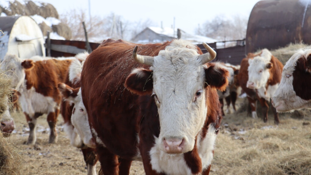 image-05-02-26-12-22-3