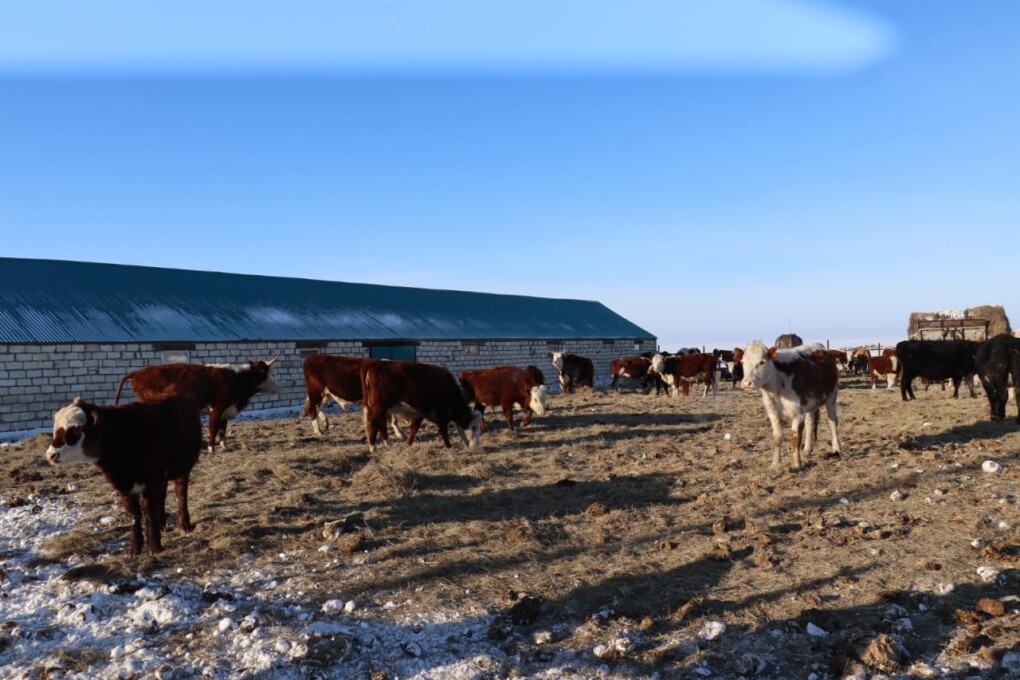 image-10-02-26-10-56-1