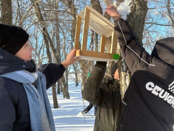 image-16-02-26-02-45-5