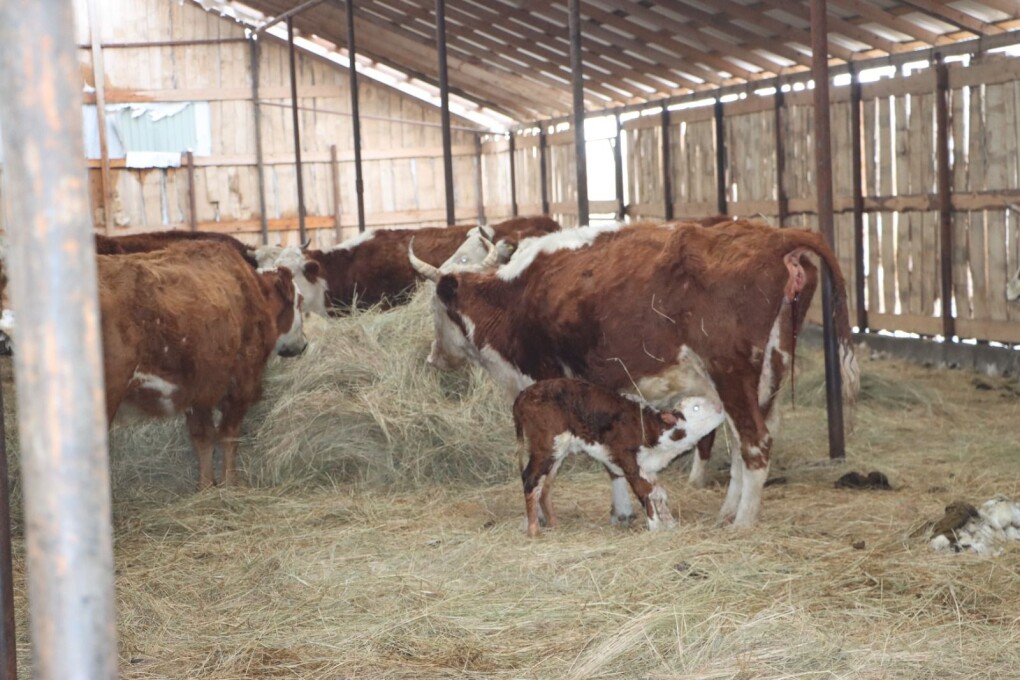 image-17-02-26-04-35-1