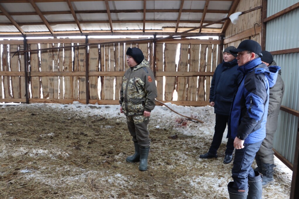 image-17-02-26-04-35-3