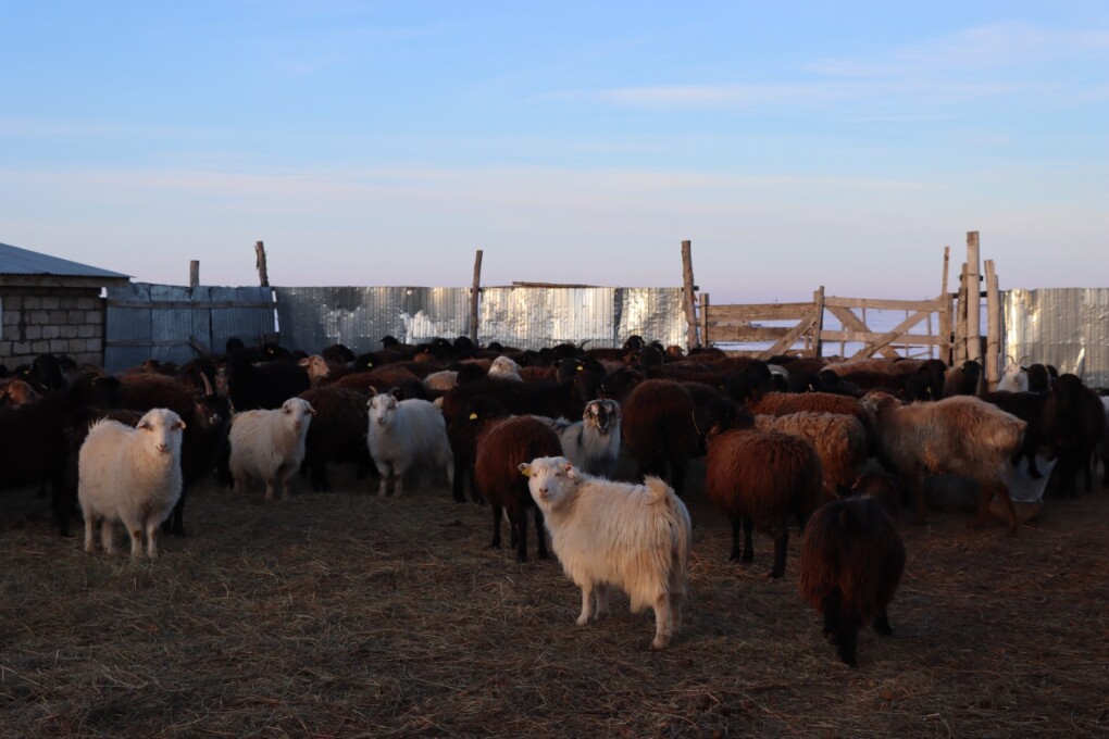 image-22-02-26-01-40-10