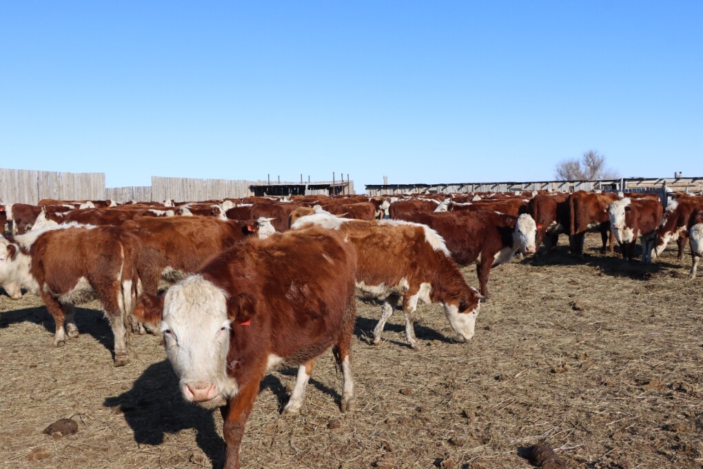 image-22-02-26-01-40-7